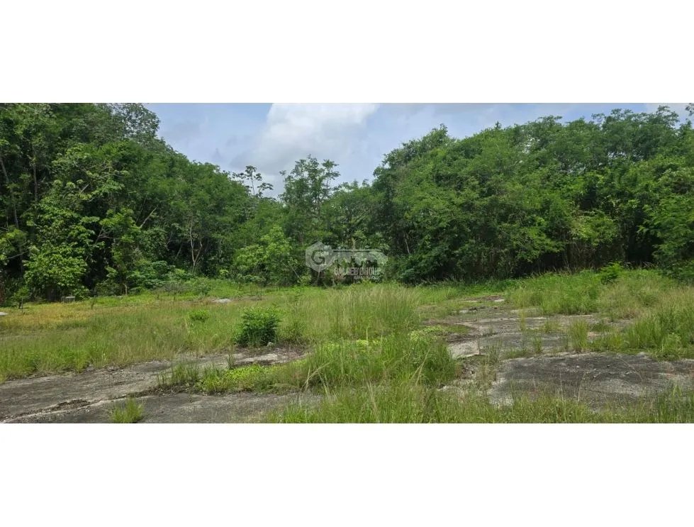 Building Lot for rent in Panama