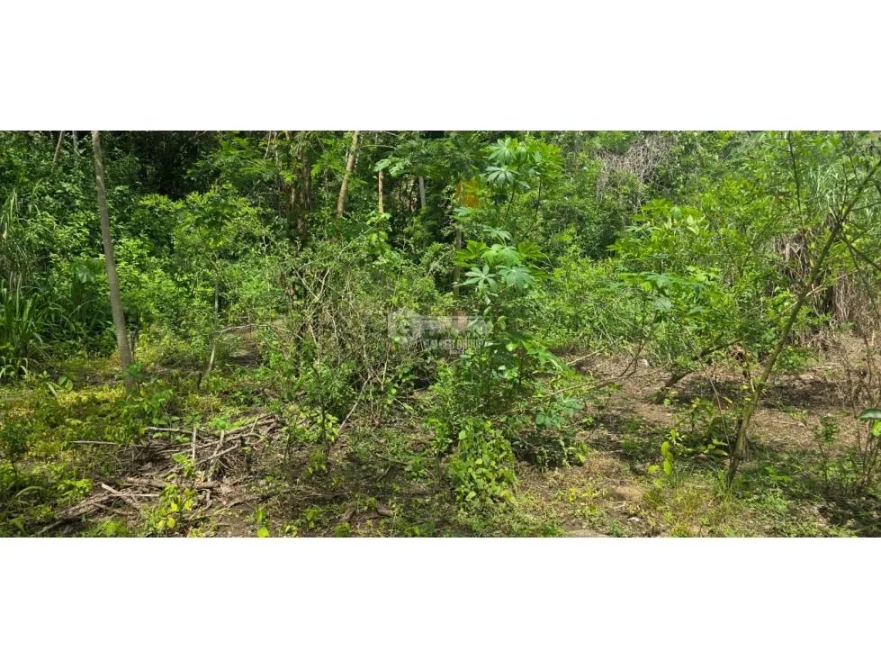 Building Lot for rent in Panama
