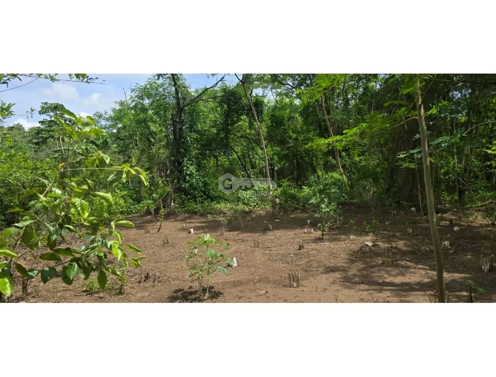 Building Lot for rent in Panama