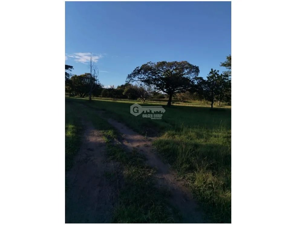 SE VENDE FINCA EN CORONADO BOULEVARD 6.8 HECTAREAS 50.00 M DESARROLLO
