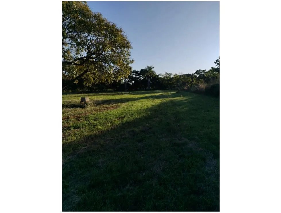 SE VENDE FINCA EN CORONADO BOULEVARD 6.8 HECTAREAS 50.00 M DESARROLLO