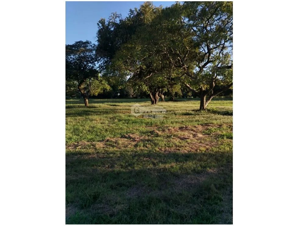 SE VENDE FINCA EN CORONADO BOULEVARD 6.8 HECTAREAS 50.00 M DESARROLLO