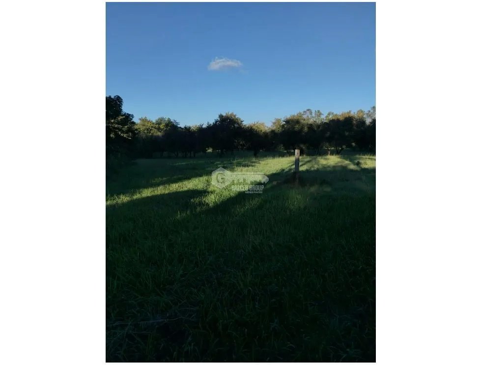 SE VENDE FINCA EN CORONADO BOULEVARD 6.8 HECTAREAS 50.00 M DESARROLLO