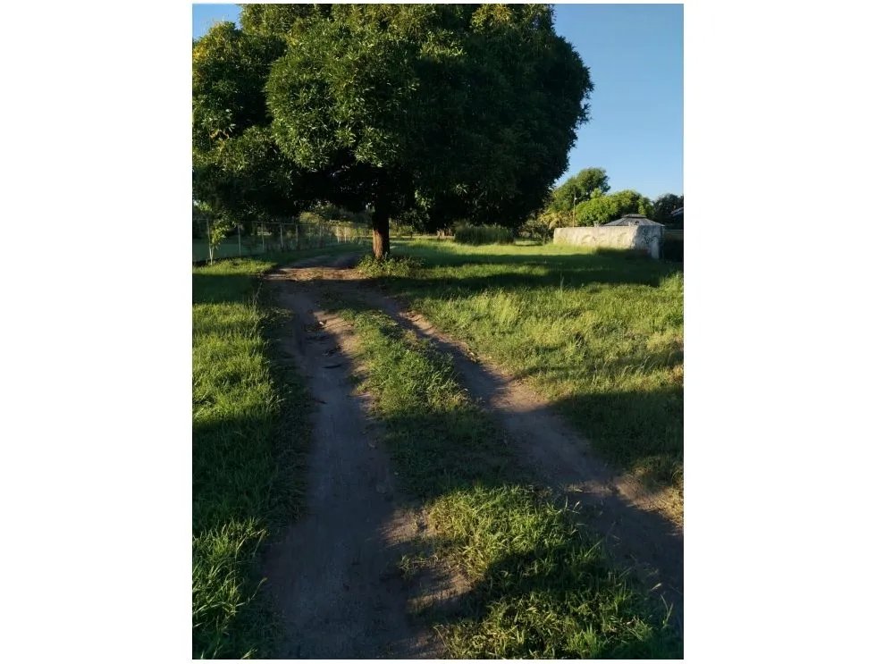CORONADO / BOULEVARD / FINCA / 6.8 HECTAREAS / 50.00 M / DESARROLLO