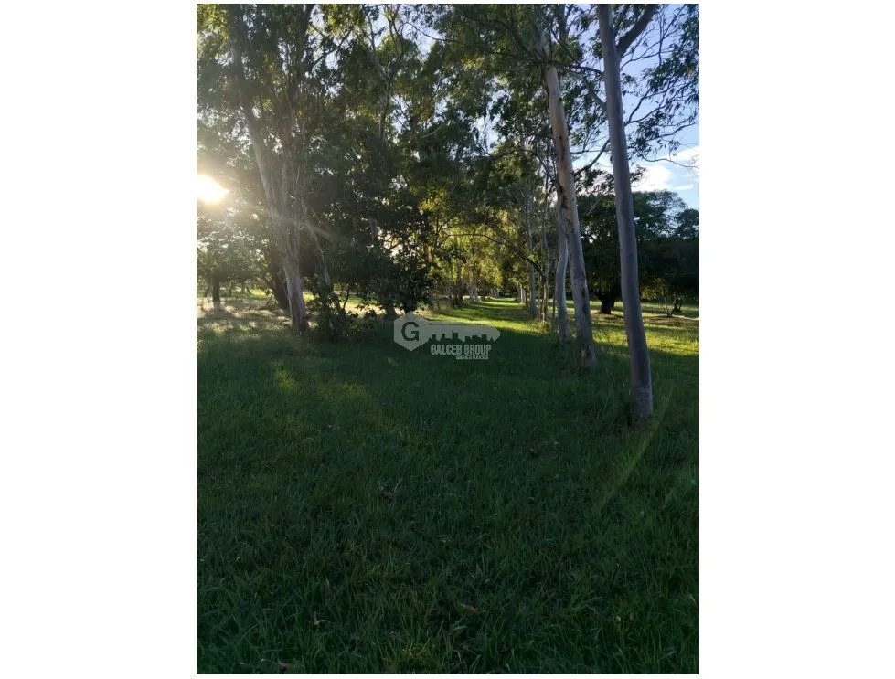 CORONADO / BOULEVARD / FINCA / 6.8 HECTAREAS / 50.00 M / DESARROLLO