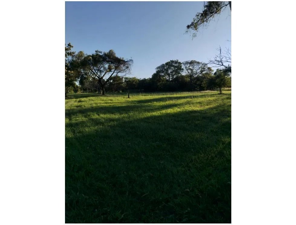 CORONADO / BOULEVARD / FINCA / 6.8 HECTAREAS / 50.00 M / DESARROLLO
