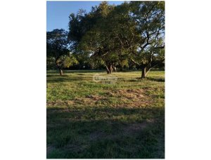 CORONADO / BOULEVARD / FINCA / 6.8 HECTA...