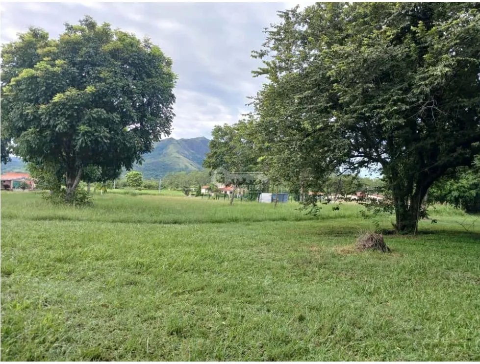 CHAME / LA COLONIA / TERRENO / 900M  / GARITA  / AREA SOCIAL