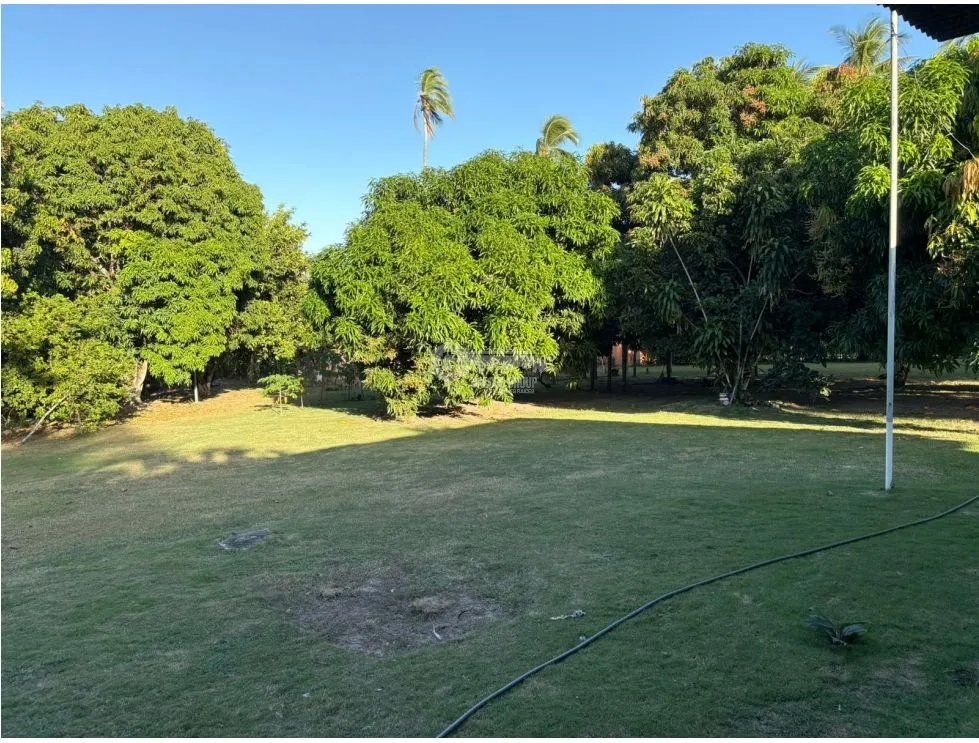 COCLE / SANTA CLARA / 6000M / 4 CABAÑAS / PISCINA / PLAYA / AG