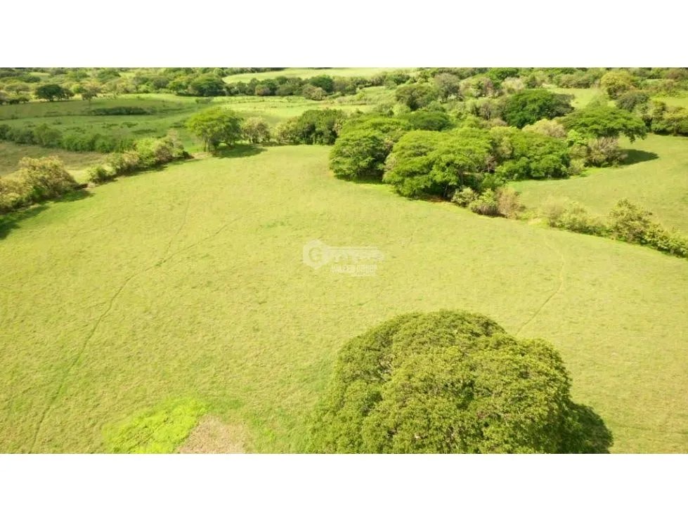 SE VENDE FINCA TITULADA IDEAL PARA GANADERÍA EN PARITA DE HERRERA
