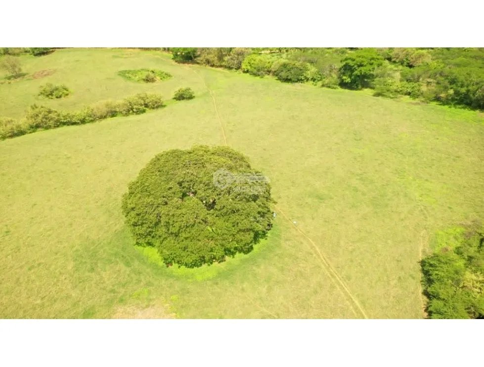 Building Lot for sale in Herrera