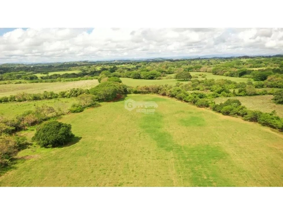 Land/Farm for sale in Herrera