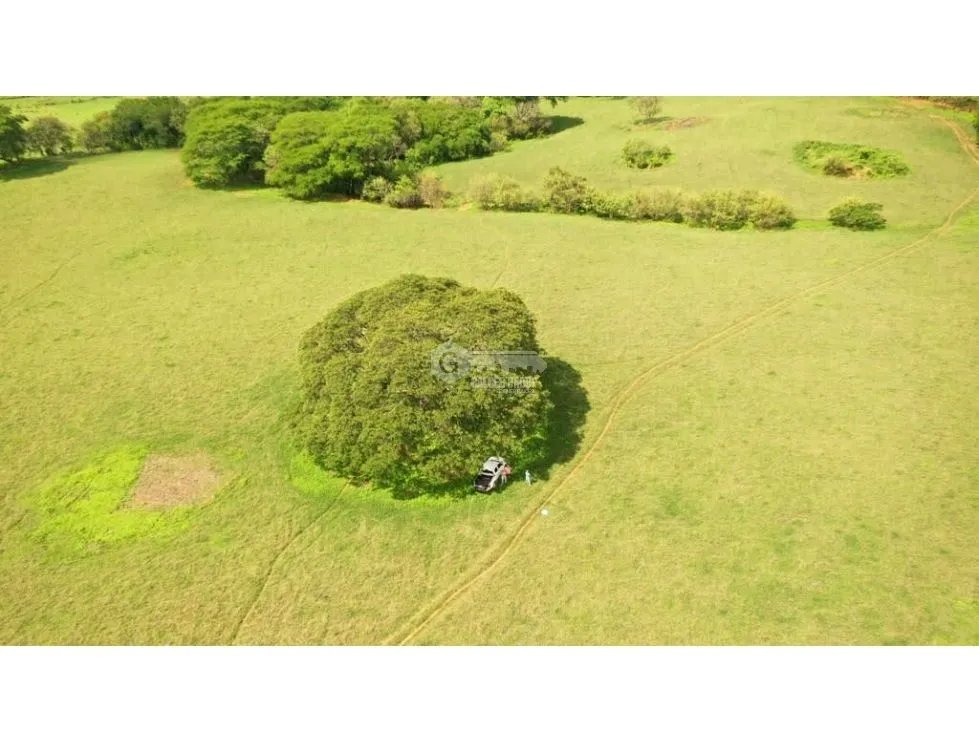 Land/Farm for sale in Herrera