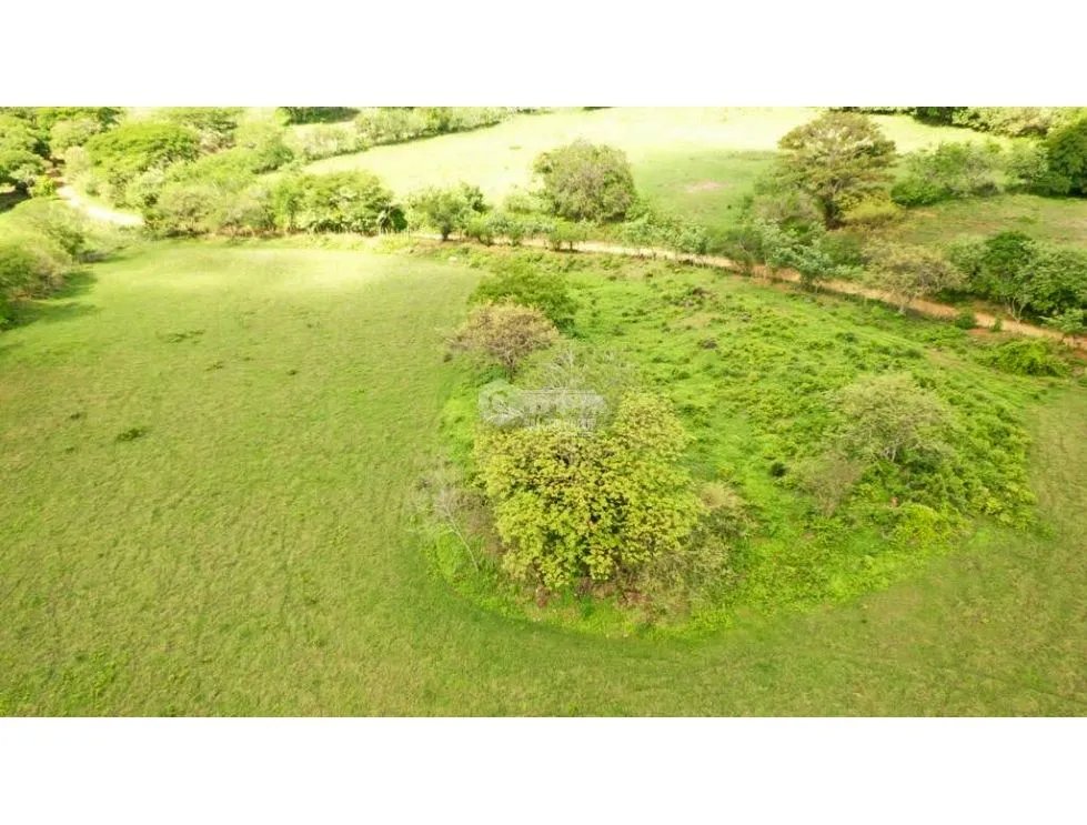 HERRERA / PARITA / 13 HECTAREAS / IDEAL PARA AGRICULTURA Y GANADERIA