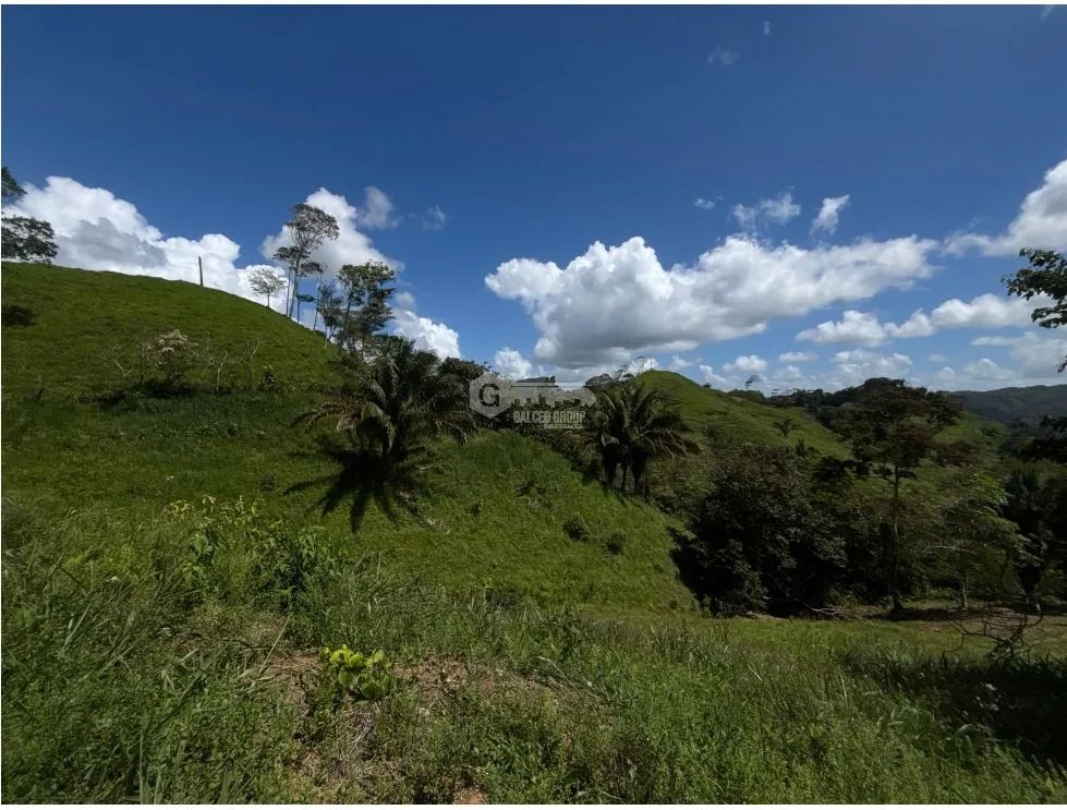 Land/Farm for sale in Capira
