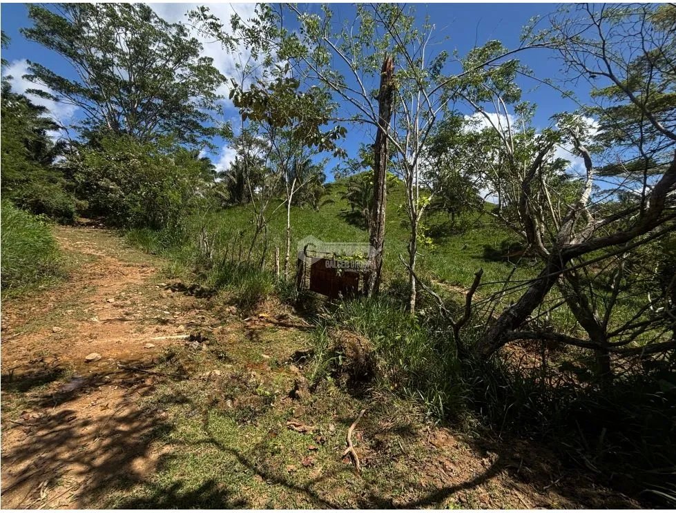 Land/Farm for sale in Capira