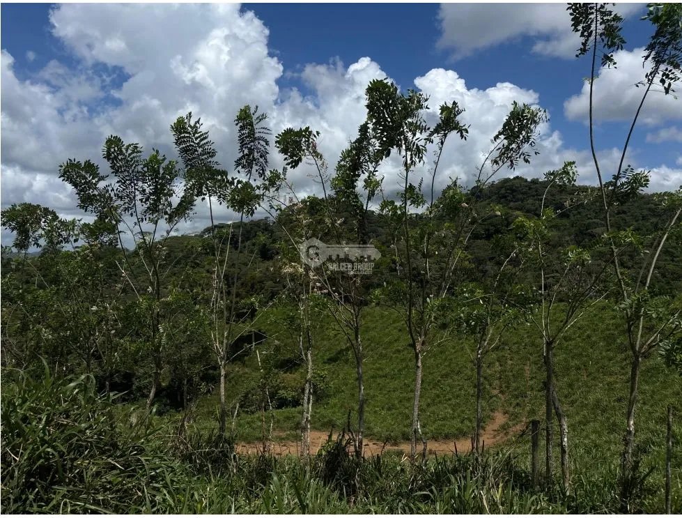 Land/Farm for sale in Capira