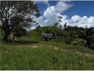 Building Lot for sale in Capira