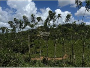 Building Lot for sale in Capira