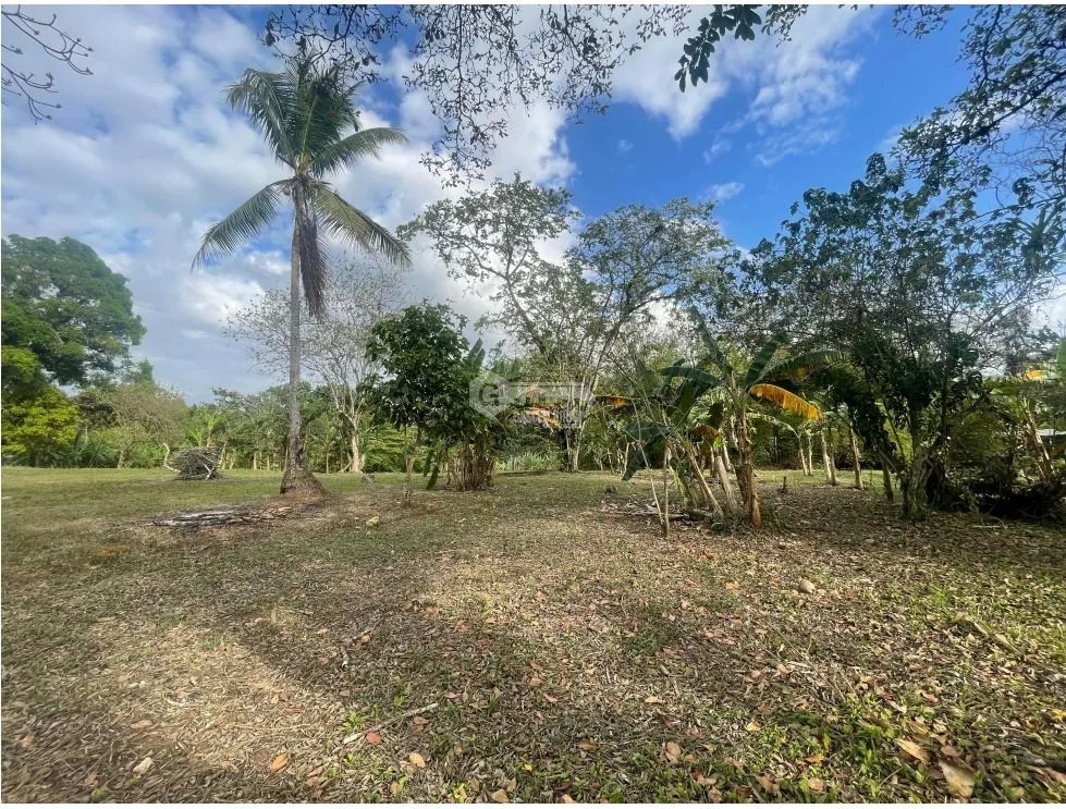 SE VENDE TERRENO PLANO EN CHILIBRE DE 5200M SOBRE CALLE