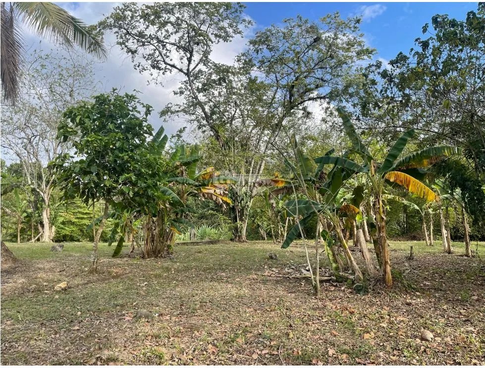 CHILIBRE / TERRENO PLANO / 5200M / SOBRE CALLE / IDEAL PARA VIVIENDA