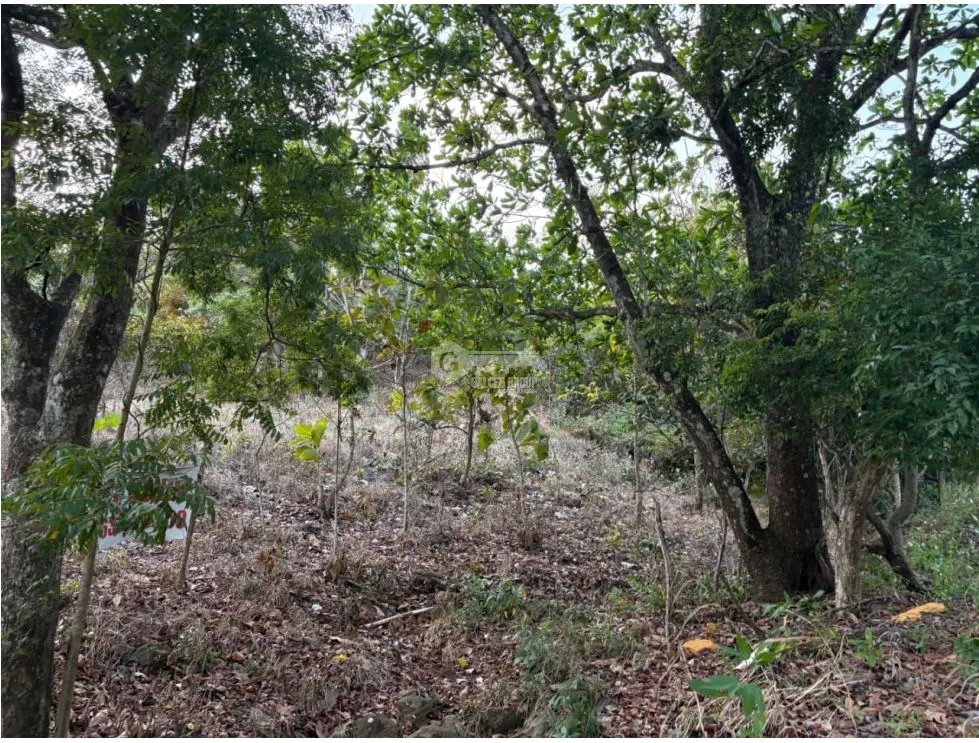 SAN CARLOS / LAS PEÑITAS / 1600M / SOBRE LA VIA / RESIDENCIAL / AG