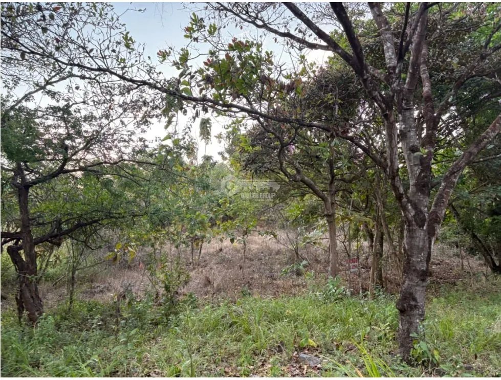 SAN CARLOS / LAS PEÑITAS / 1600M / SOBRE LA VIA / RESIDENCIAL / AG
