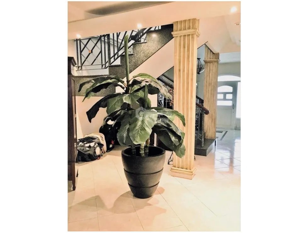 Single Family House for sale in La Alameda