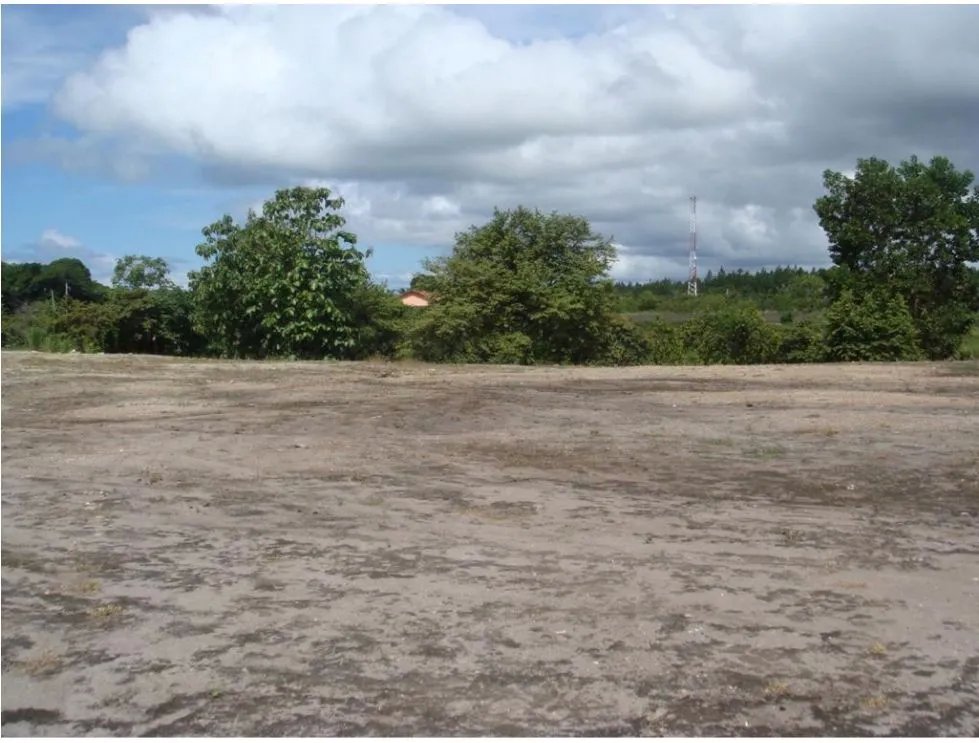 COCLE / SANTA CLARA / 32000M / FRENTE A PANAMERICANA / COMERCIAL / AG