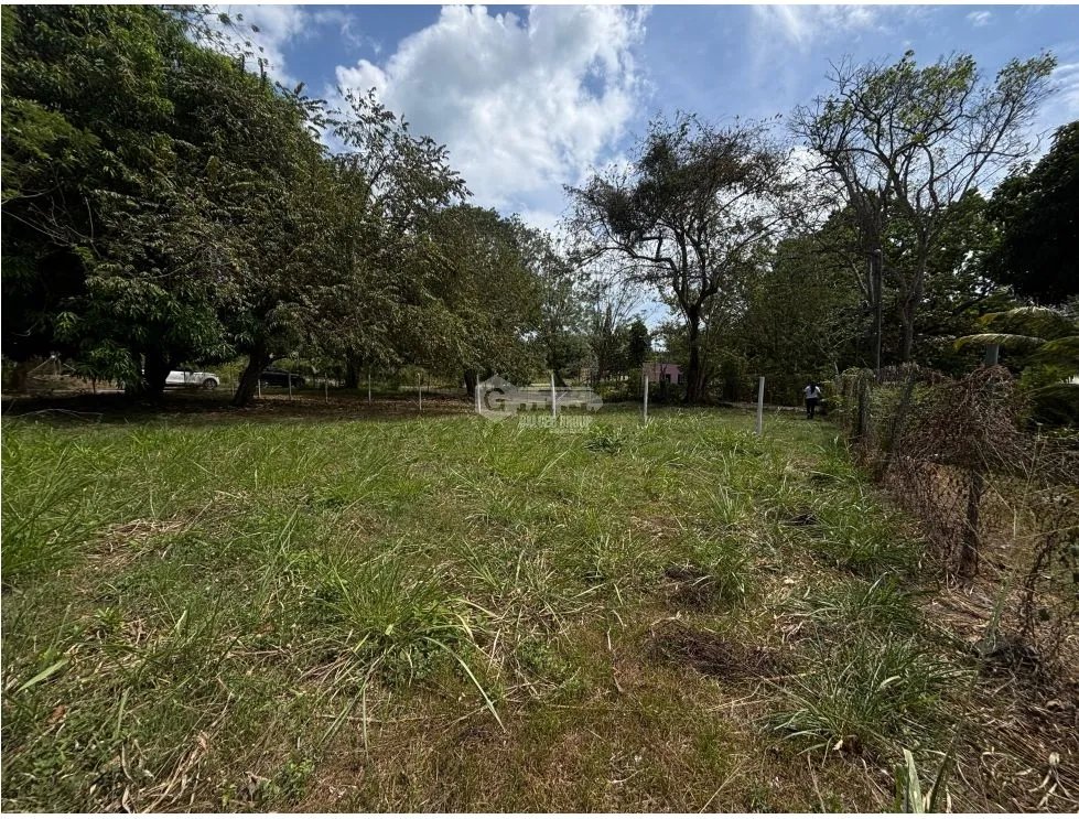 VENTA DE TERRENO EN GORGONA CHAME PLANO DE 337M CERCA DE PLAYA