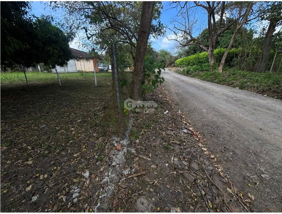 VENTA DE TERRENO EN GORGONA CHAME PLANO DE 337M CERCA DE PLAYA
