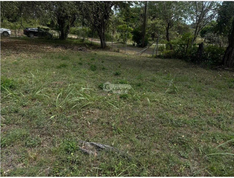 VENTA DE TERRENO EN GORGONA CHAME PLANO DE 337M CERCA DE PLAYA