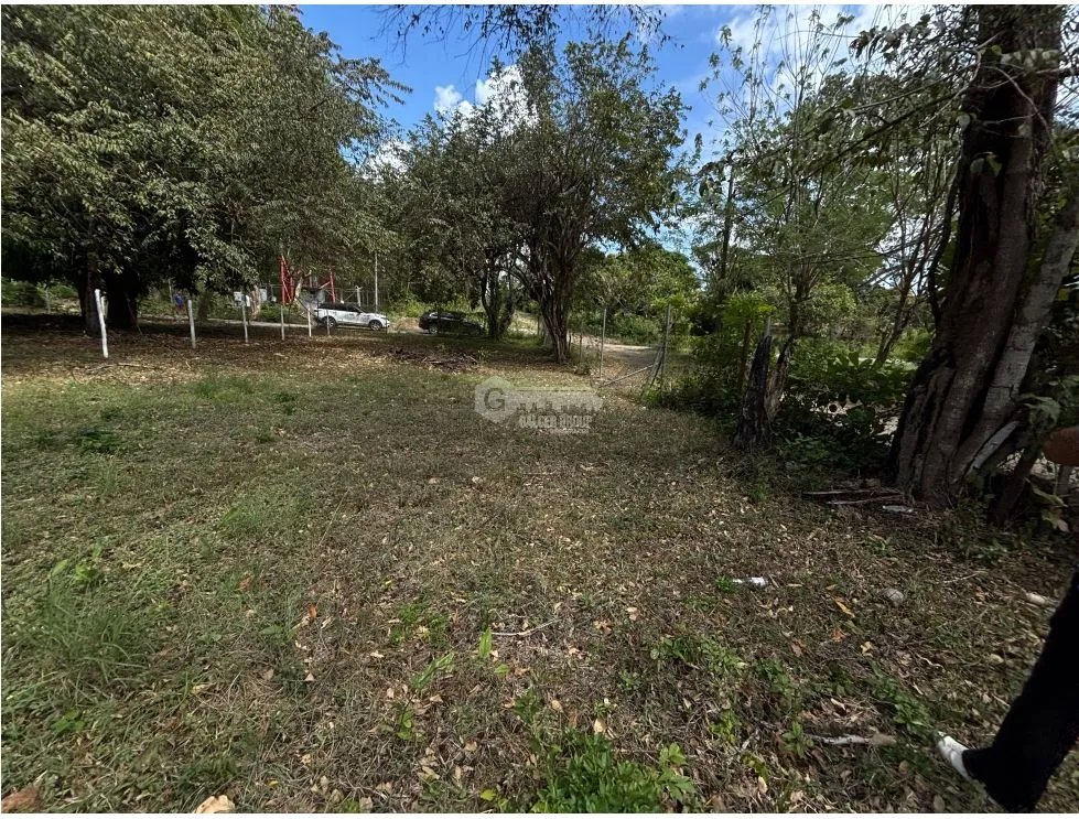 VENTA DE TERRENO EN GORGONA CHAME PLANO DE 337M CERCA DE PLAYA