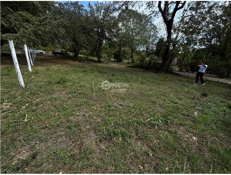 SE VENDE TERRENO PLANO EN GORGONA CHAME CERCA DE PLAYA DE 360M