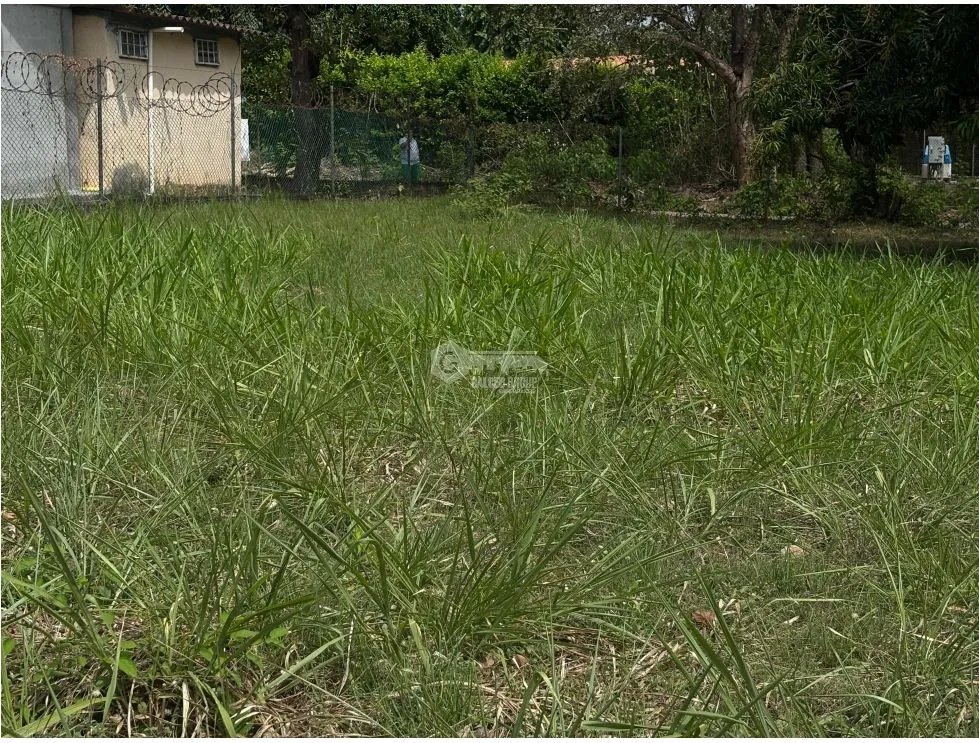 GORGONA / CHAME / TERRENO PLANO / 360M / CERCA DE PLAYA