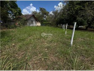 GORGONA / CHAME / TERRENO PLANO / 360M /...