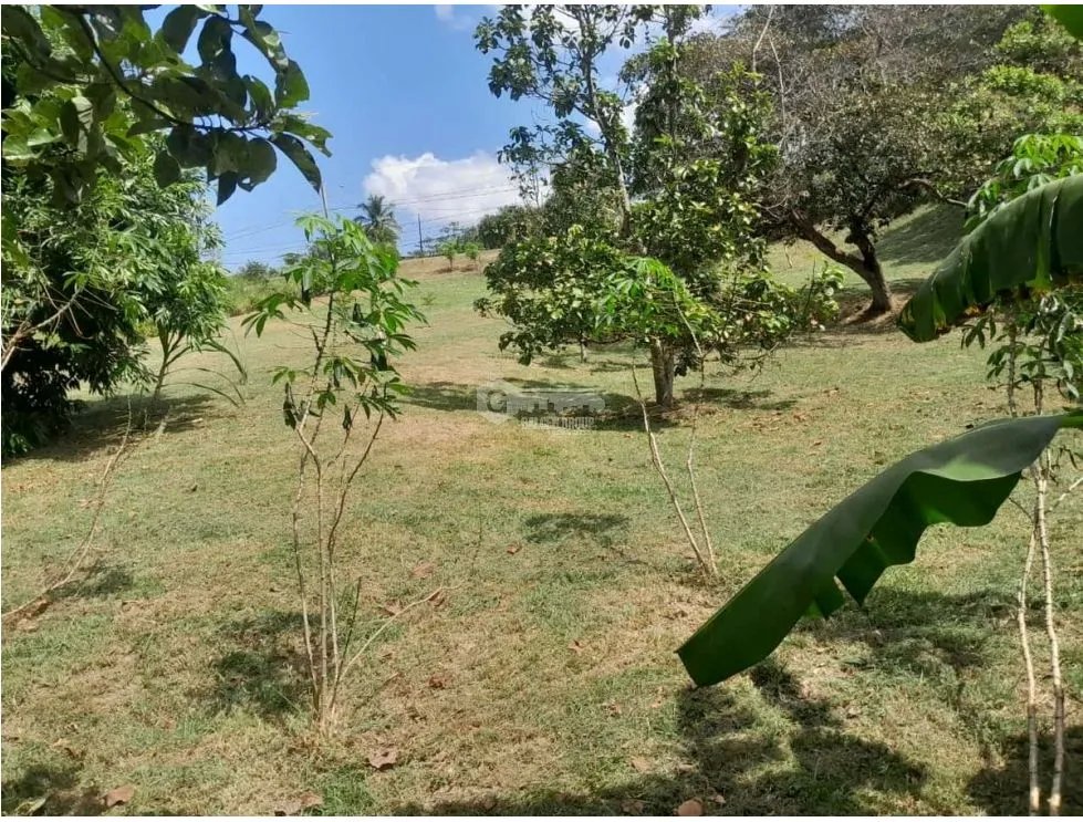 SAN CARLOS / EL VALLE VILLAGE / 1600M / AREA SOCIAL / PISCINA / AG