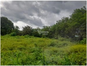 COCLE / RIO HATO / 5606M / SOBRE LA VIA ...