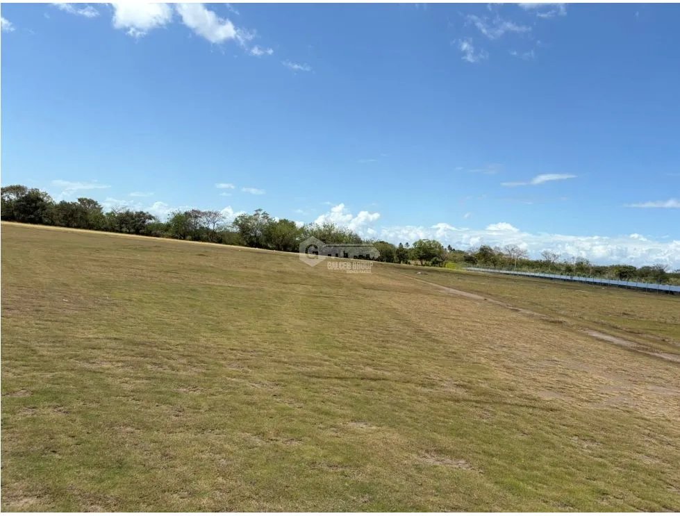 COCLE / RIO HATO / 110 HECTAREAS / SOBRE LA VIA / USO COMERCIAL / AG
