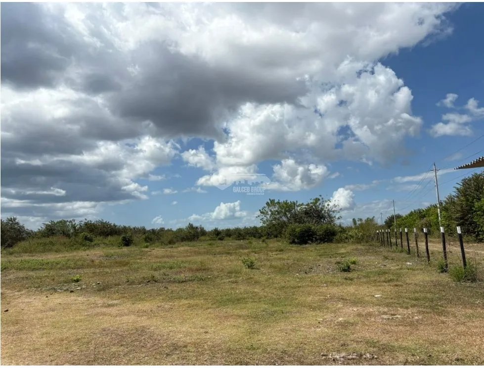 COCLE / RIO HATO / 110 HECTAREAS / SOBRE LA VIA / USO COMERCIAL / AG