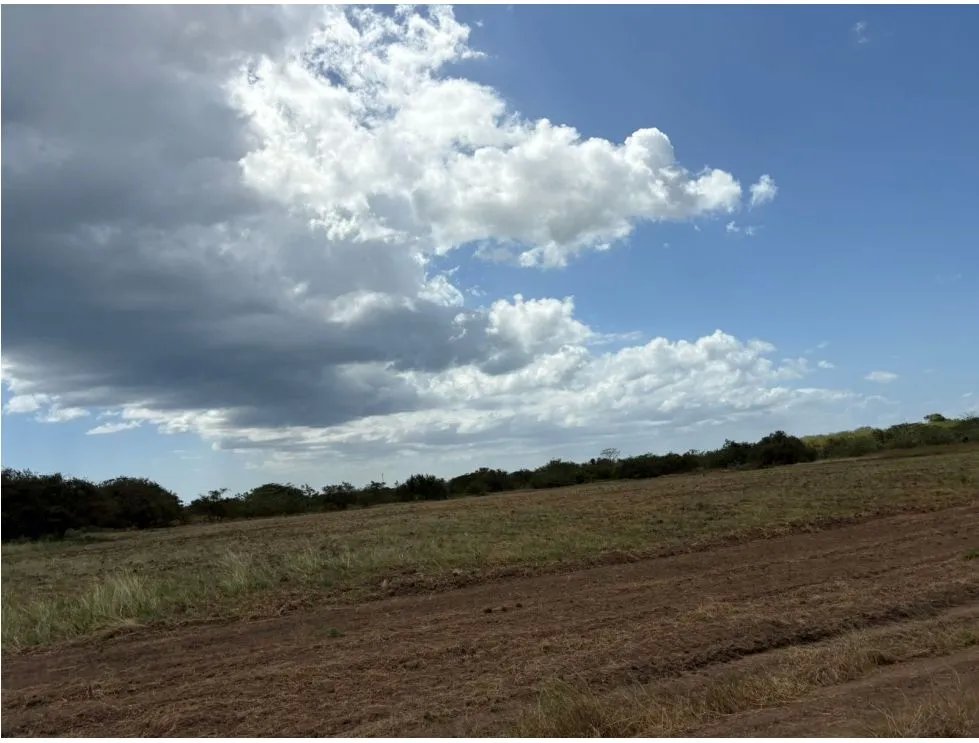 COCLE / RIO HATO / 110 HECTAREAS / SOBRE LA VIA / USO COMERCIAL / AG