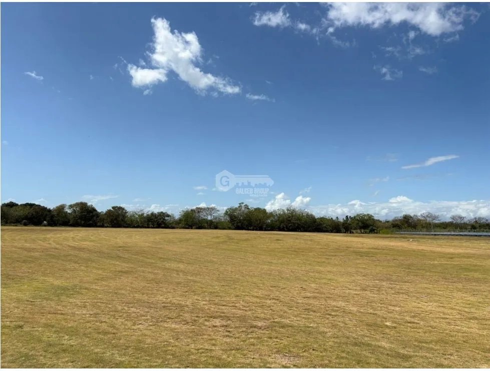 COCLE / RIO HATO / 110 HECTAREAS / SOBRE LA VIA / USO COMERCIAL / AG