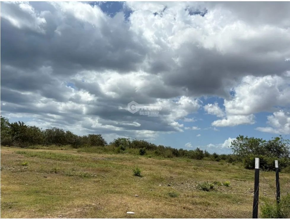 COCLE / RIO HATO / 110 HECTAREAS / SOBRE LA VIA / USO COMERCIAL / AG
