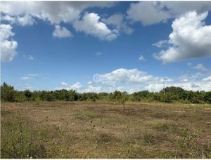COCLE / RIO HATO / 110 HECTAREAS / SOBRE...