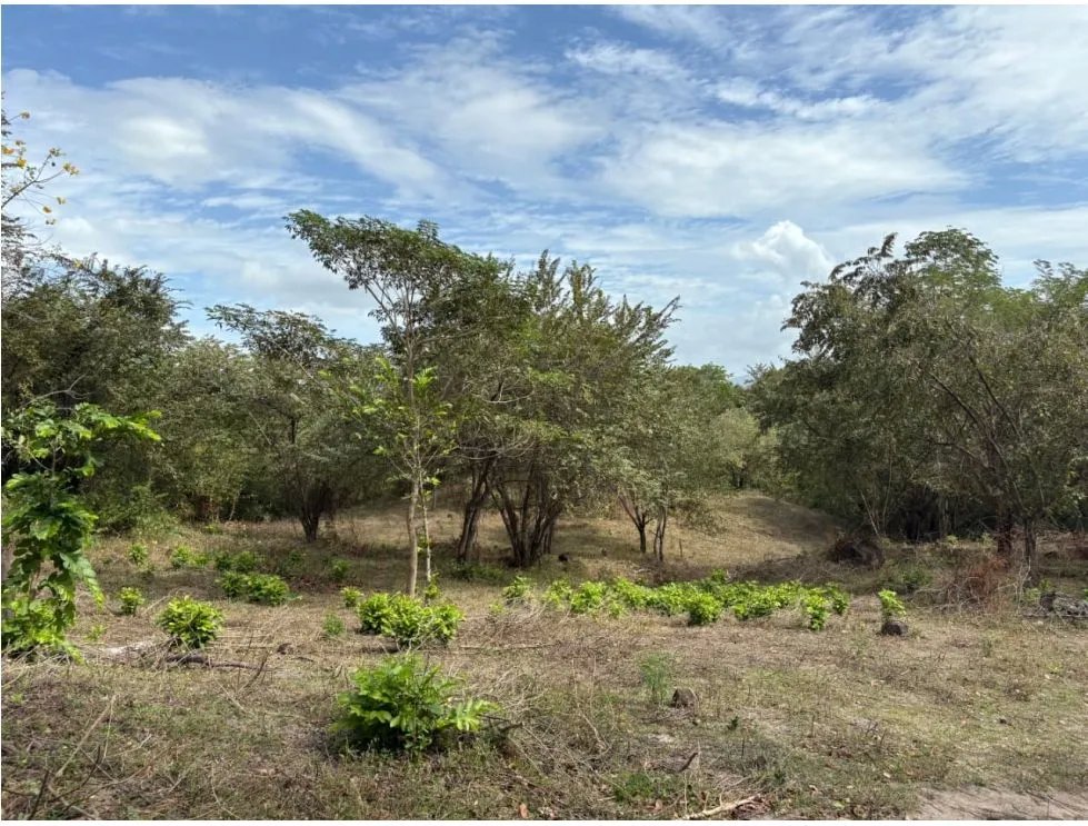 SAN CARLOS / LAS LAGARTIJAS / 250000M / GANADERIA / USO COMERCIAL AG