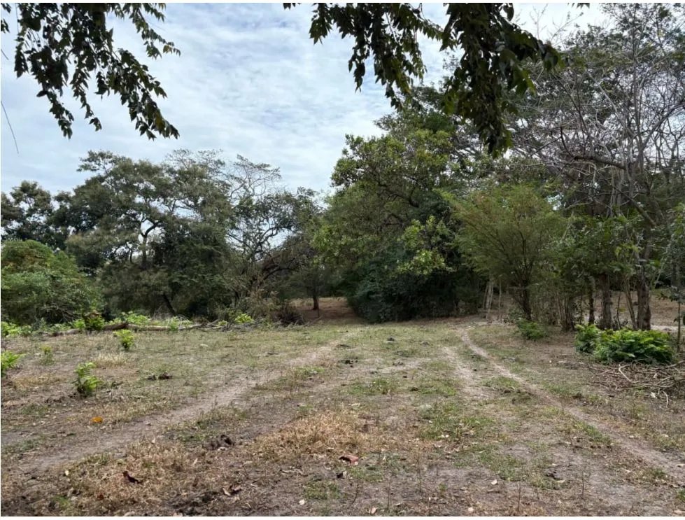 SAN CARLOS / LAS LAGARTIJAS / 250000M / GANADERIA / USO COMERCIAL AG