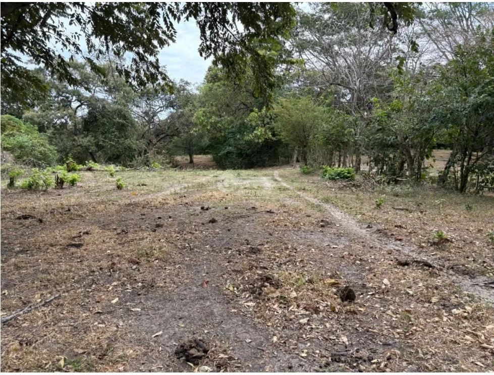 SAN CARLOS / LAS LAGARTIJAS / 250000M / GANADERIA / USO COMERCIAL AG