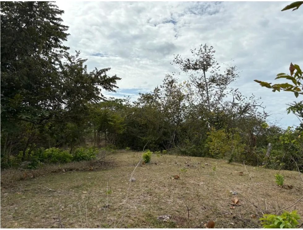 SAN CARLOS / LAS LAGARTIJAS / 250000M / GANADERIA / USO COMERCIAL AG