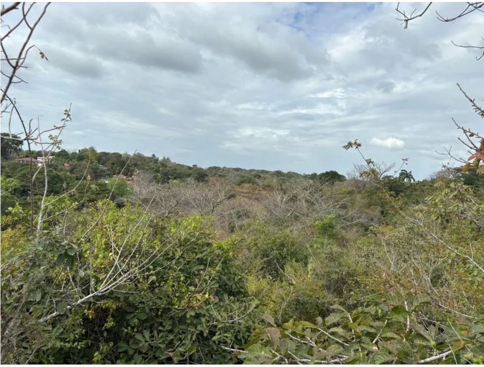 SAN CARLOS / LAS LAGARTIJAS / 250000M / GANADERIA / USO COMERCIAL AG