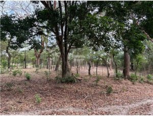 Building Lot for sale in San Carlos